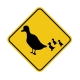 Duck Crossing
